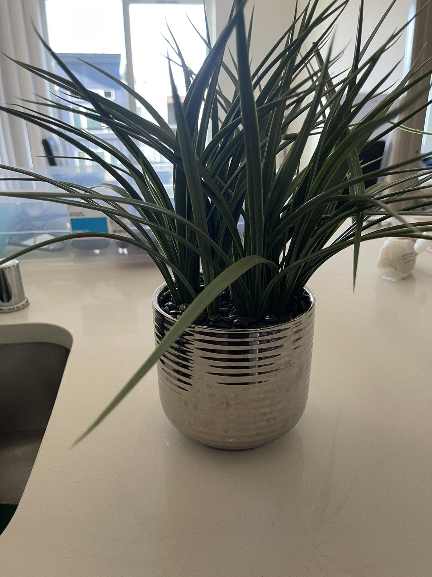 Fake Plant 