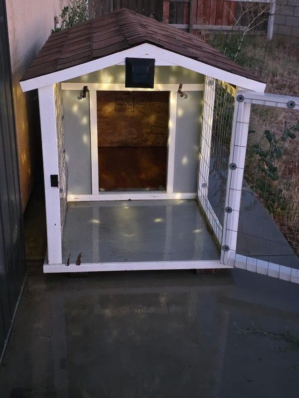 Dog Cage