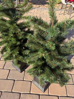 Artificial Christmas Trees with Square Bases