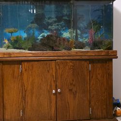 80 gallon fish tank