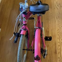 Bike -Folding Citizens Bike