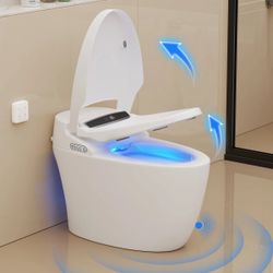 Smart toilet