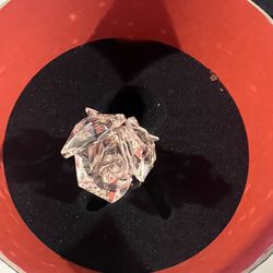 Rose By Swarovski With Box