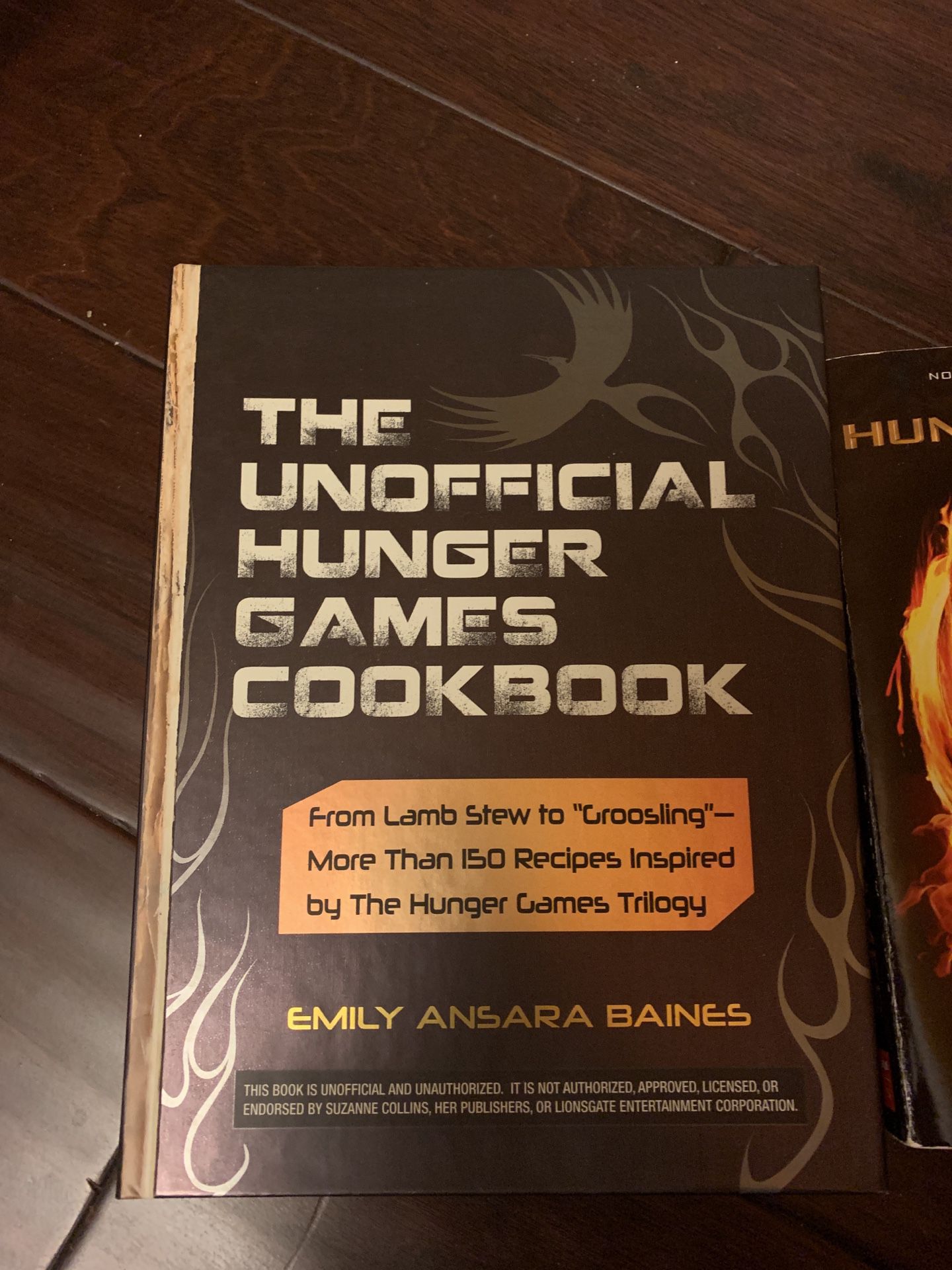 Collection of hunger game books