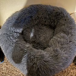 Cat  Bed