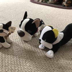 Adorable stuffed Boston terrier puppies