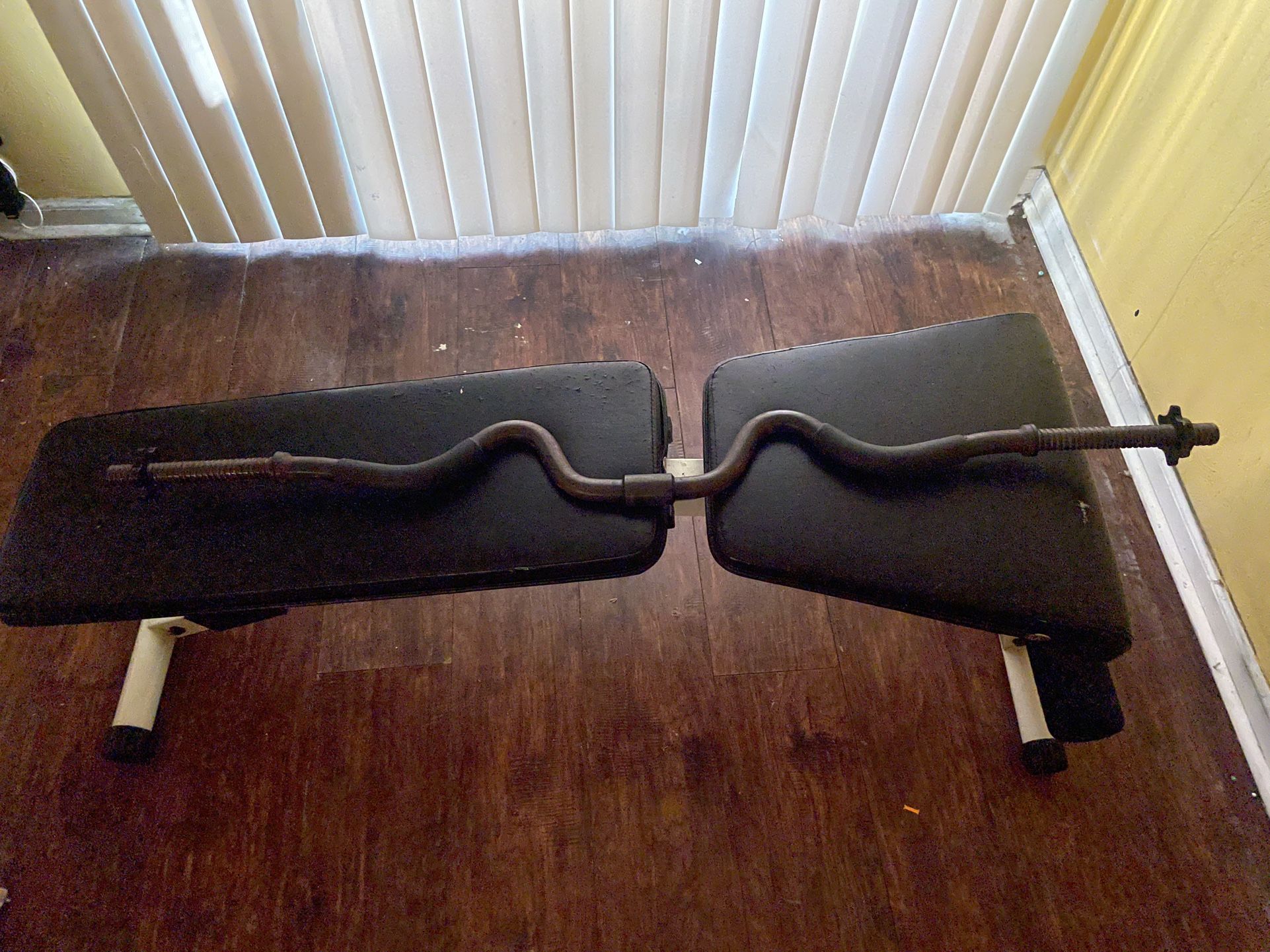 Curl Bar