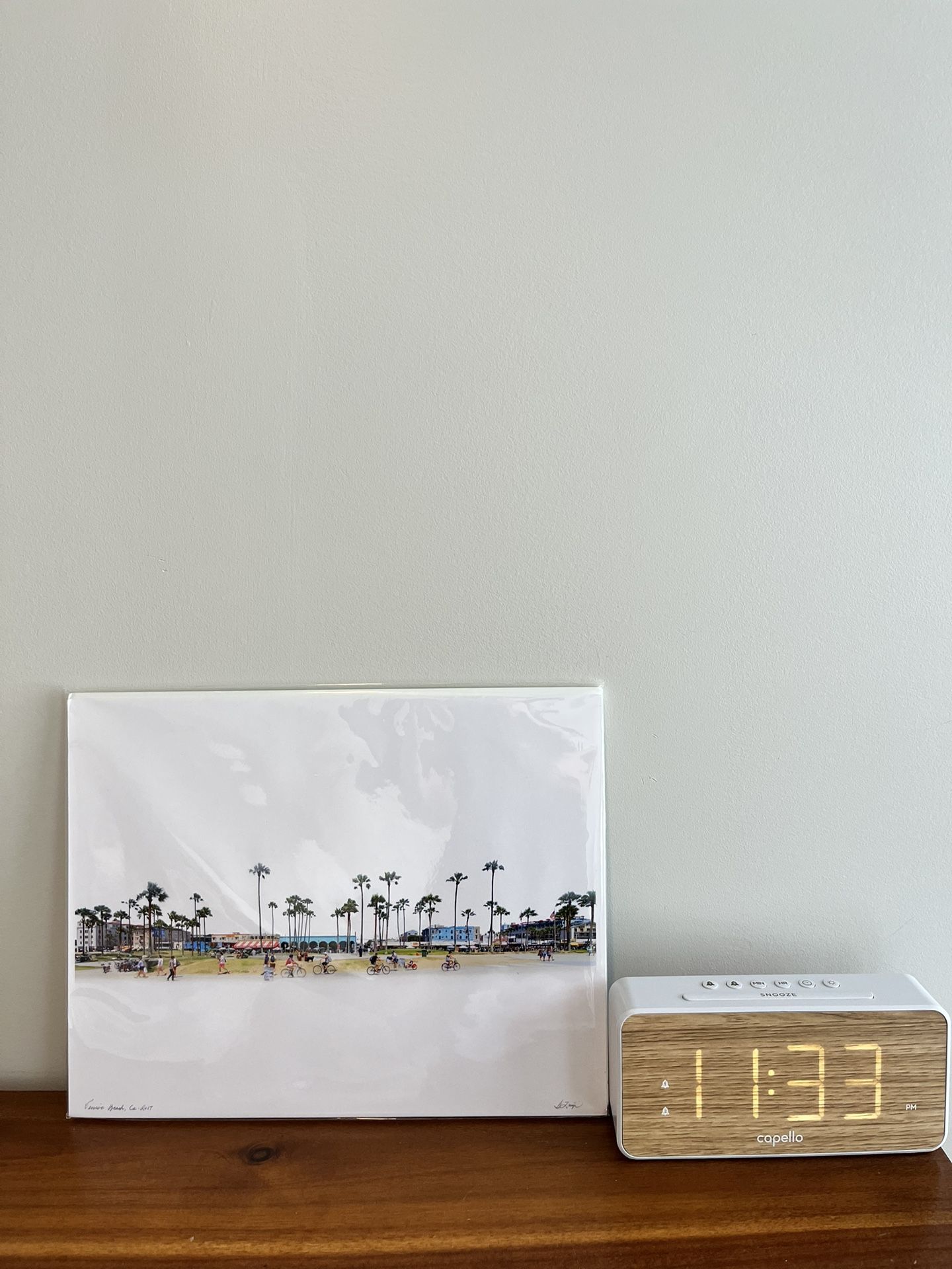 Venice Beach Photograph