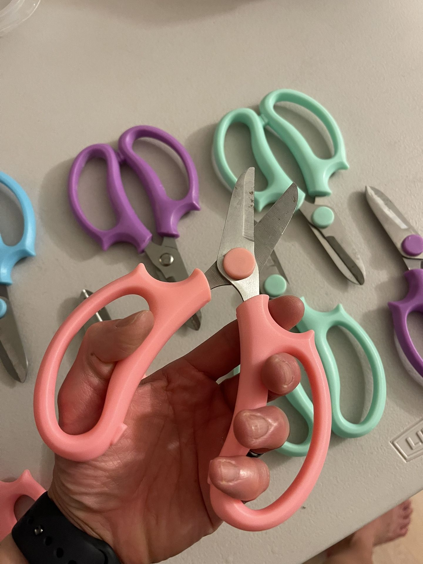 Flower Sheers—11 Total