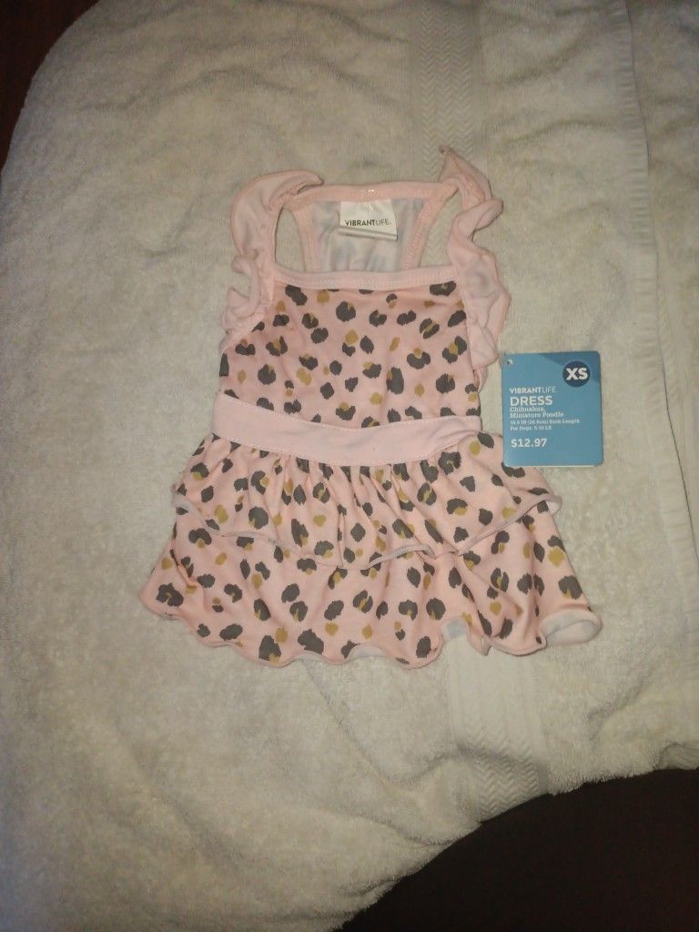 Vibrant Life Minature Poodle Dress (XS)