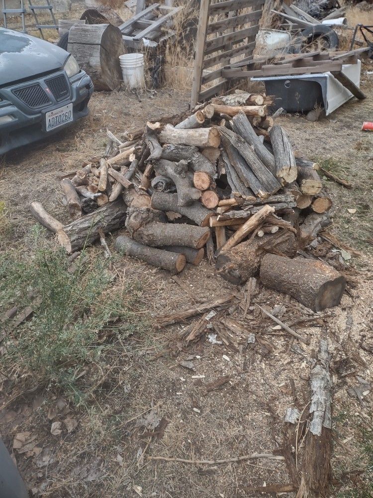 Firewood