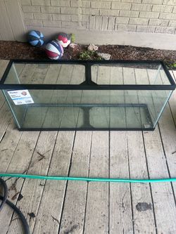 Fish tank