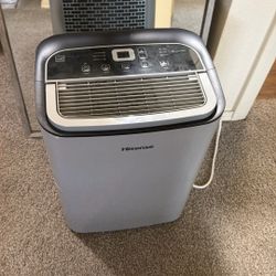 Hisense Dehumidifier 
