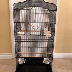 Birds Cage 