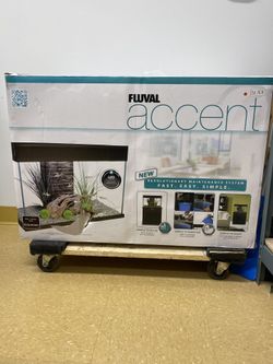 Fluval accent 25 gallon fish tank