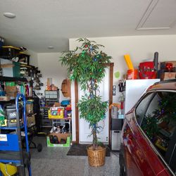 8 Foot Silk Tree With Lights
