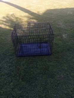 Jaula de perro