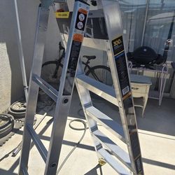 Aluminum Xtension Ladder