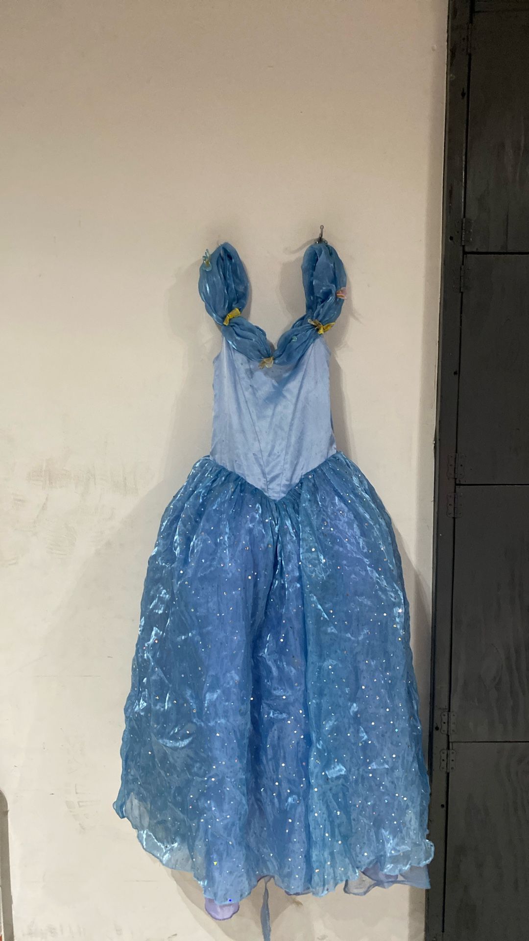 Cinderella Costume 