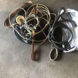 Dog Leash And Wires 