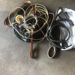 Dog Leash And Wires 