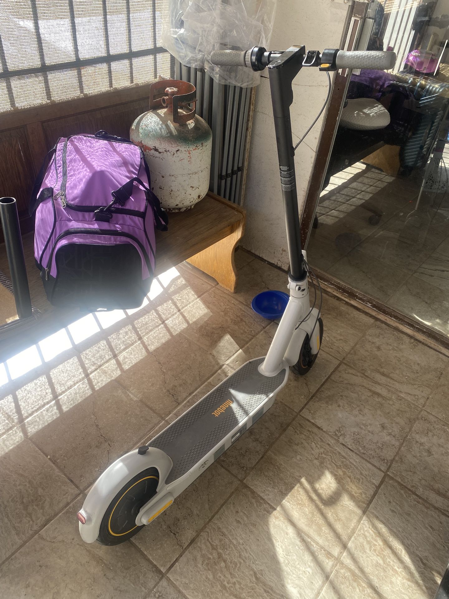 Electric Scooter Hiboy