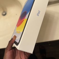 Blue iPad 10th Generation 