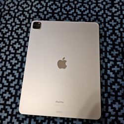 iPad Pro 12.9inch (6th Generation) 