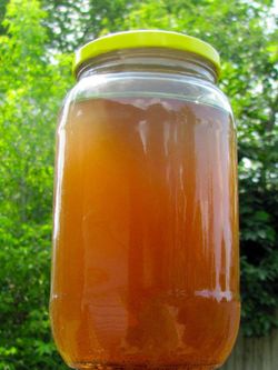 FRESH AERATED COMPOST TEA ONLY $9.98 FREE DELIVERY!!!