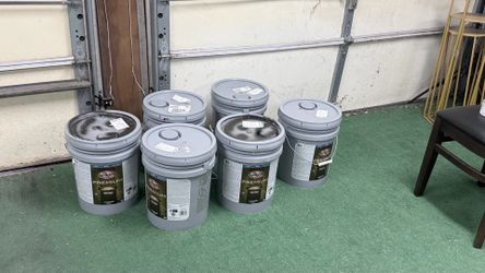 50% OFF - Exterior Satin Paint