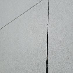 Shakespeare ugly stik