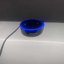 Amazon Alexa 
