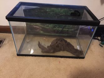 20 gallon terrarium
