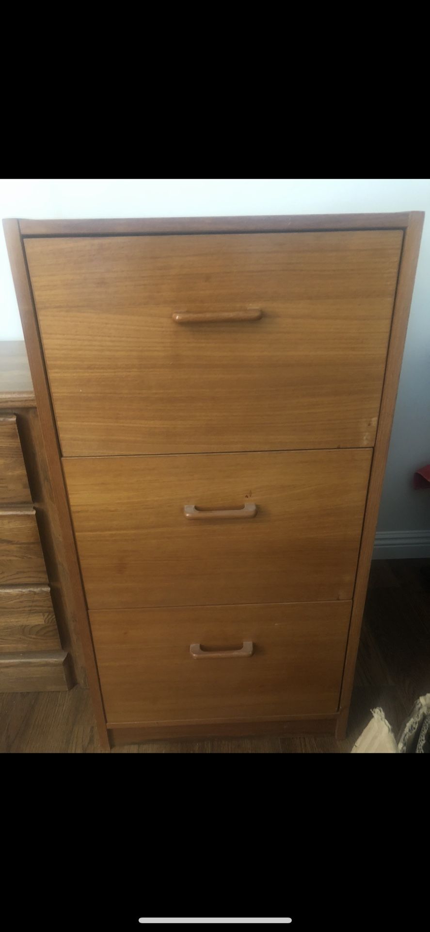 Teak veneer File Cabinet