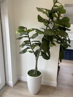 Large 6.5ft Luxury Faux Fig Tree w/ Planter