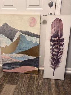 2 Canvas Wall Art Pieces - Like New