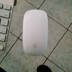 Apple 🍎 Wireless Mouse & Keyboard ⌨️