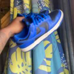 Nike Dunks 