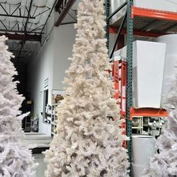 Flocked Christmas 🎄 Trees