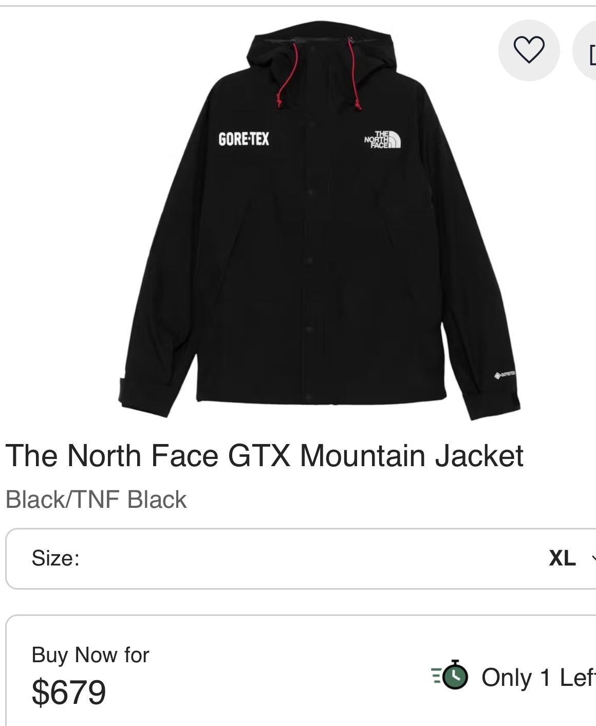 The north Face MOUNTAIN Jacket 