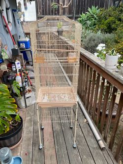Bird cage