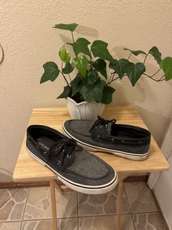 Men Sperry shoes size 12