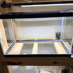 10 Gallon Aquarium Tank