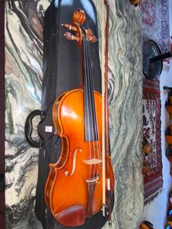 14"Viola Anthonia Strarivatiou