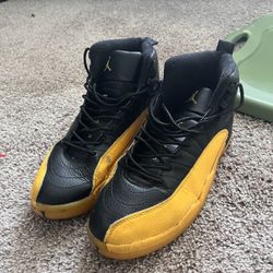 Jordan 12 