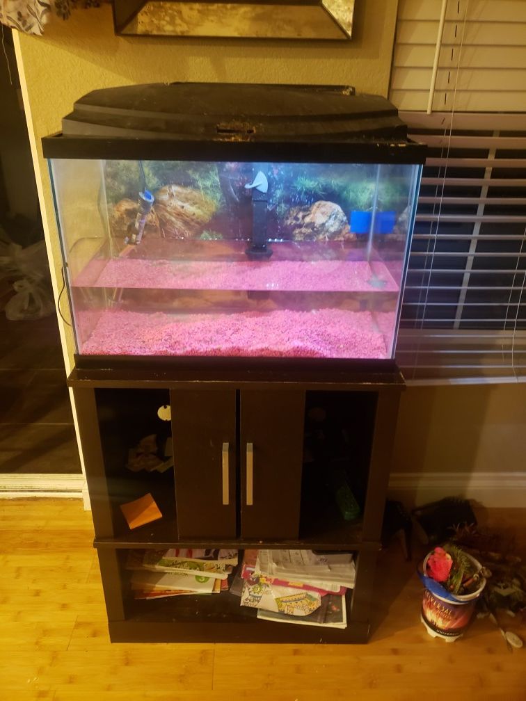 Fish tank with stand