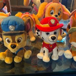 PAW teddy bear collection