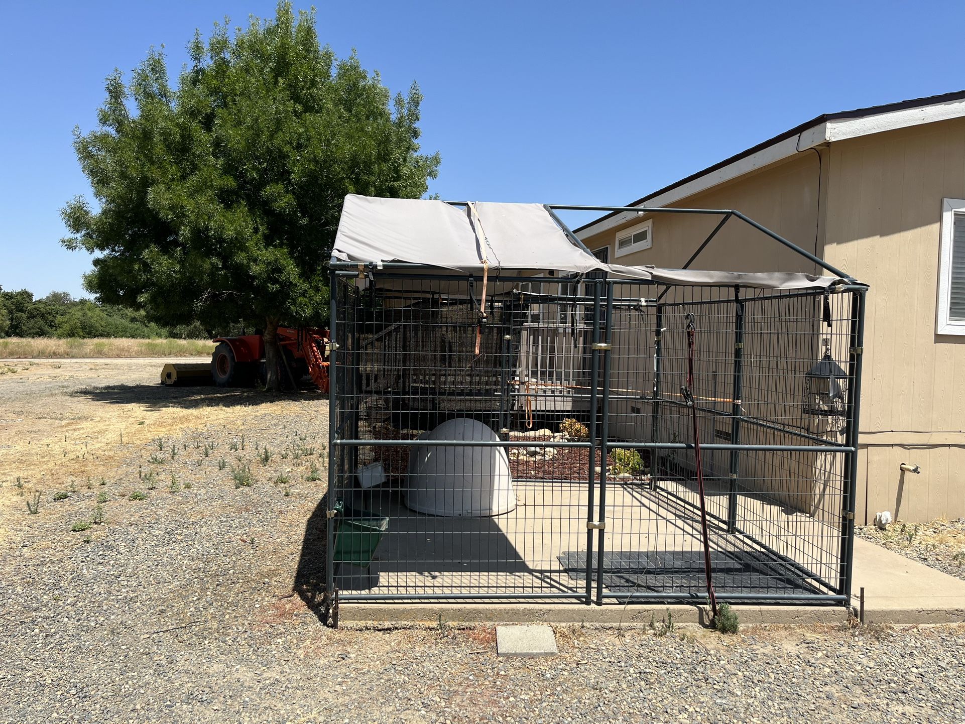 Dog Kennel 10x10