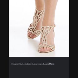 Beautiful Wedding Or Party Shoe