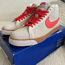 Nike SB Blazer Swoosh Life